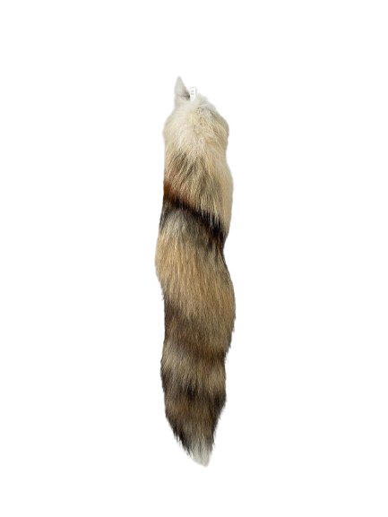 Fuchsschwanz KLEIN