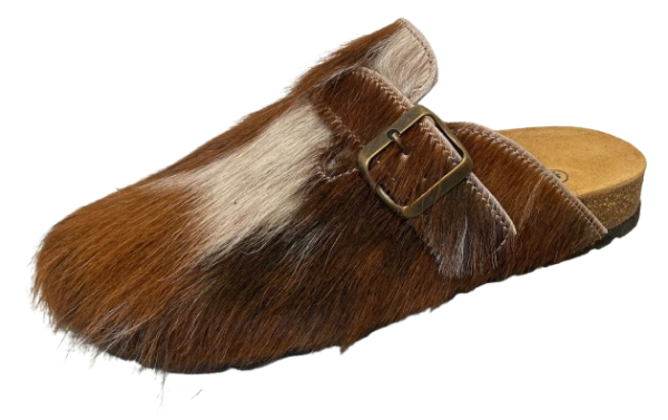 Modell: Allgäu